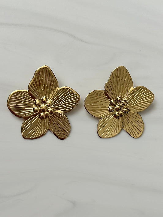Boucles d'oreilles xl